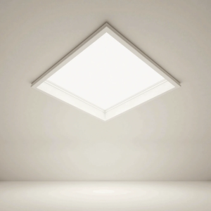 Ceiling Panel